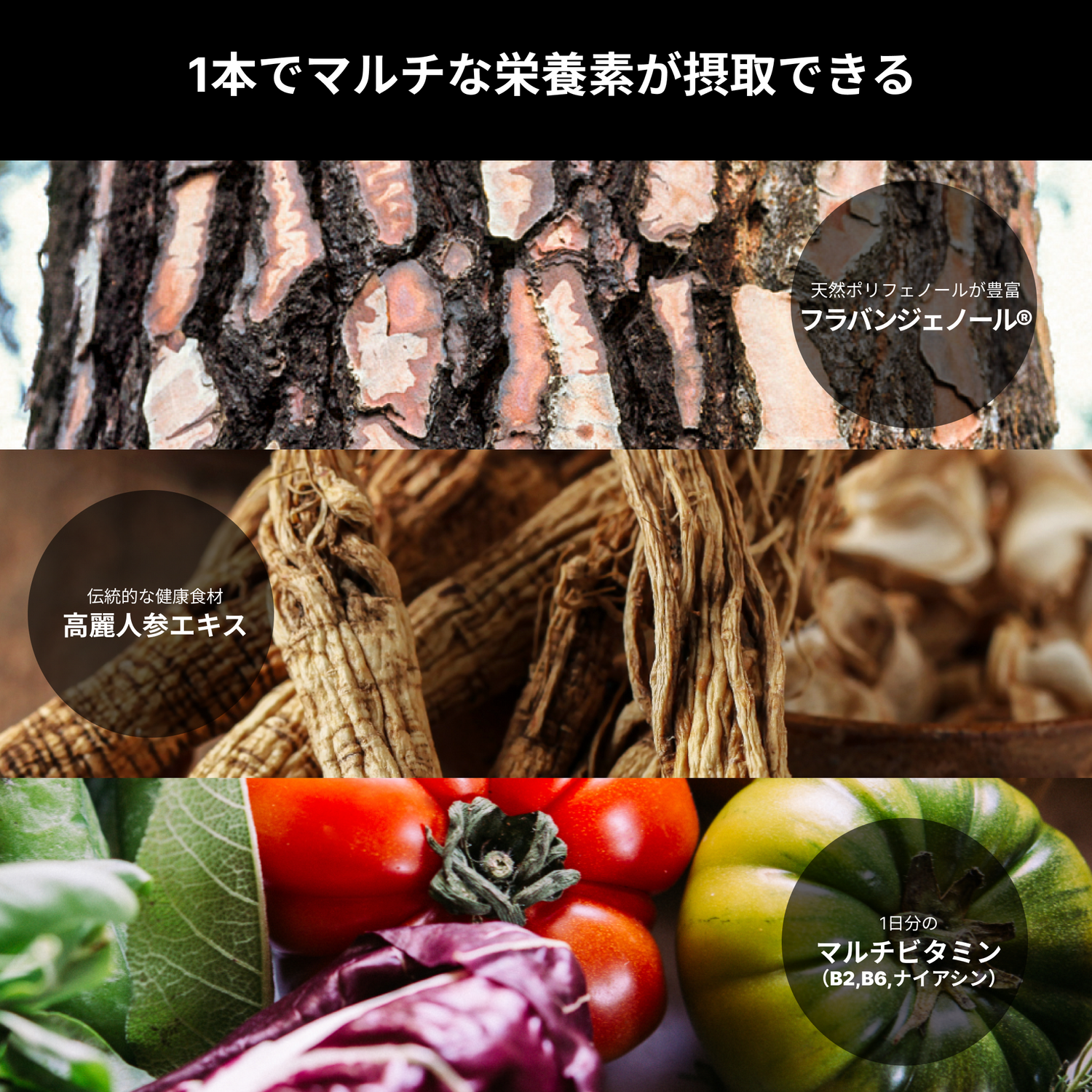 アムラ果実、朝鮮人参、緑黄色野菜などの自然素材を並べ、「menphys GABA&アルギニン&亜鉛 50ml瓶」の成分バランスをアピール