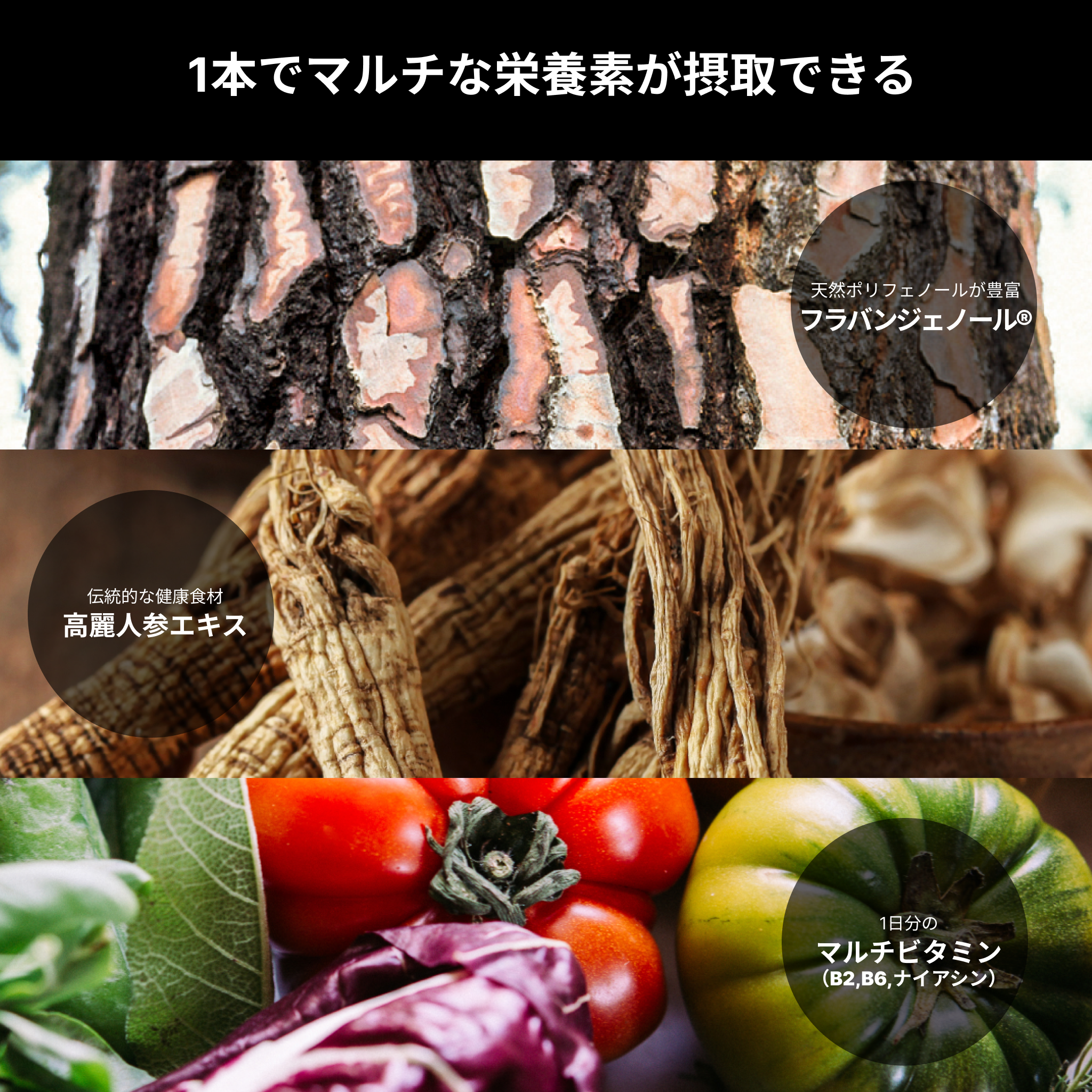 アムラ果実、朝鮮人参、緑黄色野菜などの自然素材を並べ、「menphys GABA&アルギニン&亜鉛 50ml瓶」の成分バランスをアピール
