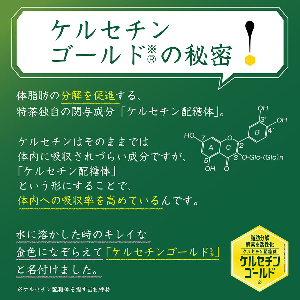 ケルセチンゴールドの働きにより脂肪分解が活性化することを説明。成分構造とともに紹介されたトクホ機能解説画像
