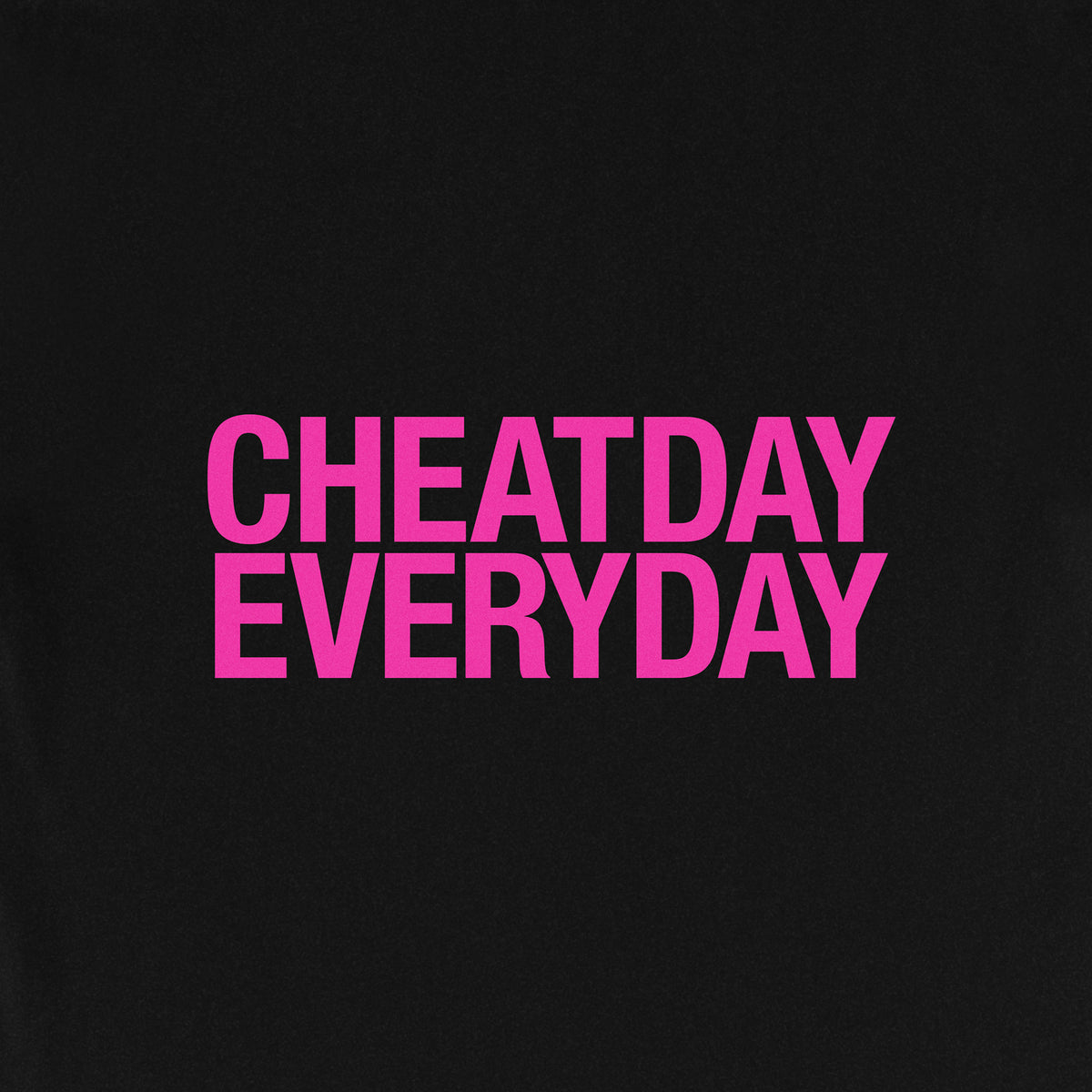 ギルT #005 ( CHEATDAY EVERYDAY )