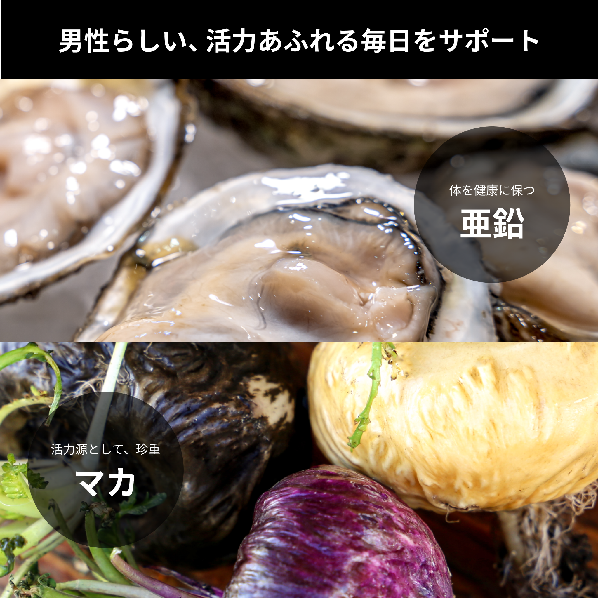 亜鉛とマカが豊富な素材として「牡蠣」「黒マカ」の写真とともに「menphys GABA&アルギニン&亜鉛 50ml瓶」の原料の特徴を紹介