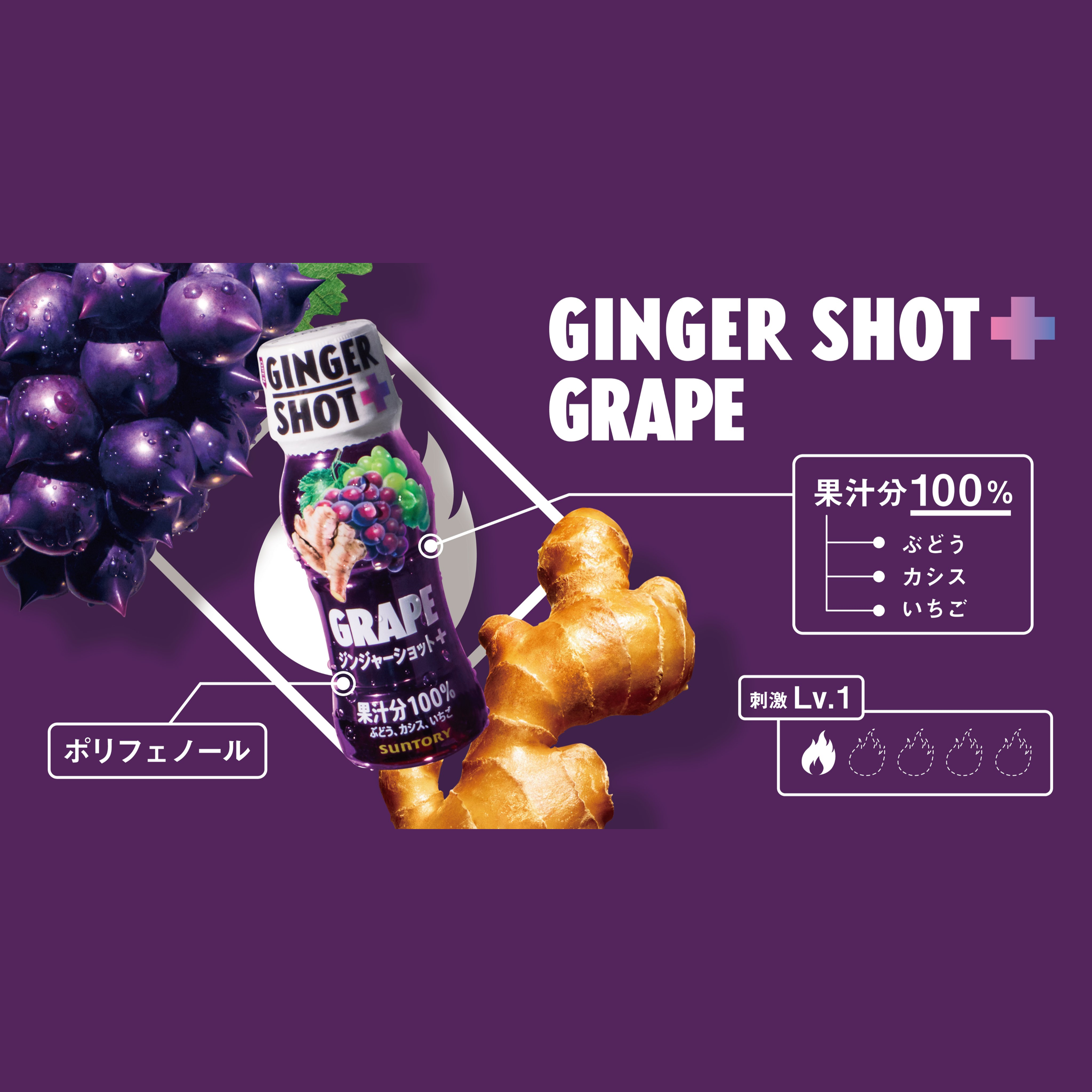 サントリー GINGERSHOT+ GRAPE 65ml×8本