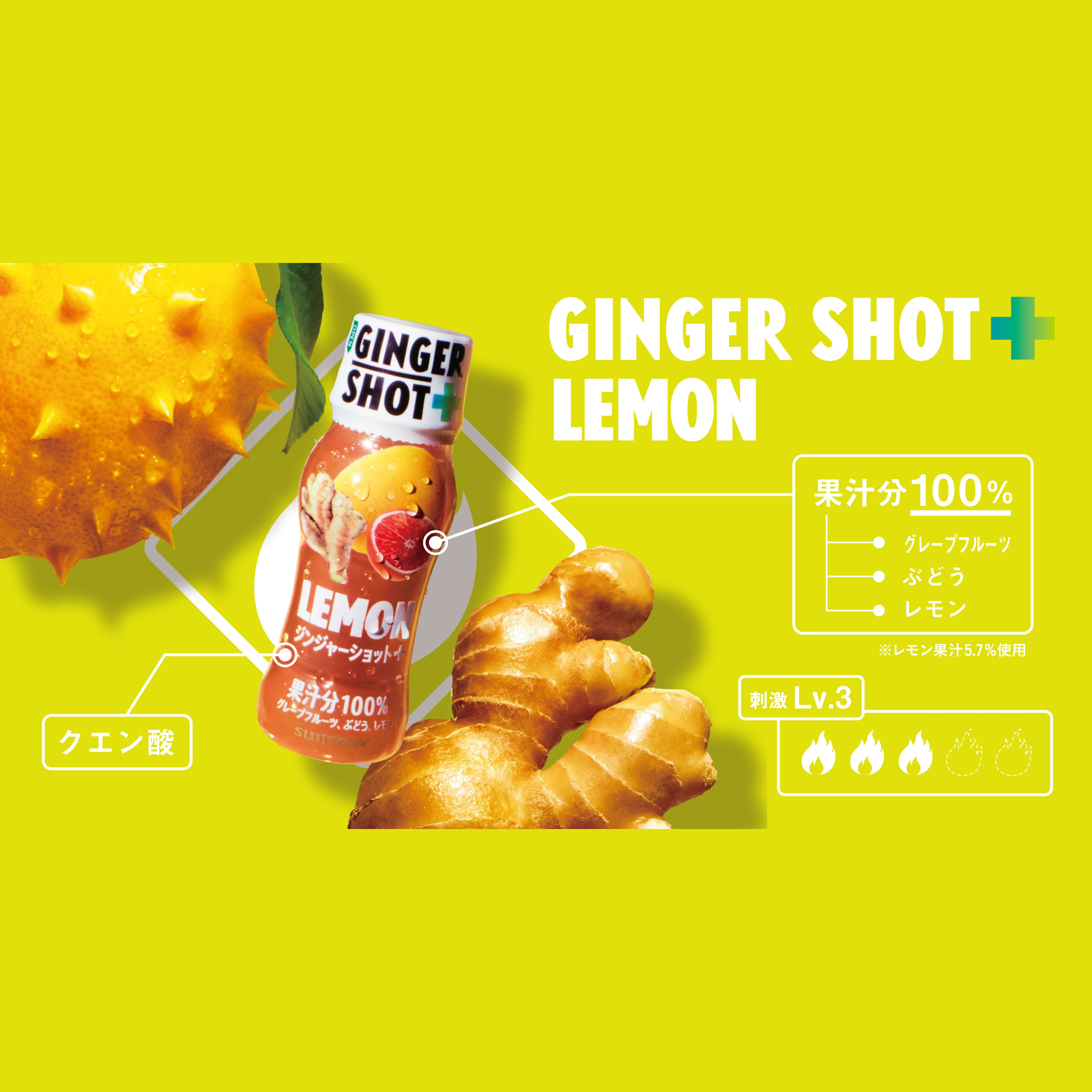 サントリー GINGERSHOT+ LEMON 65ml×8本