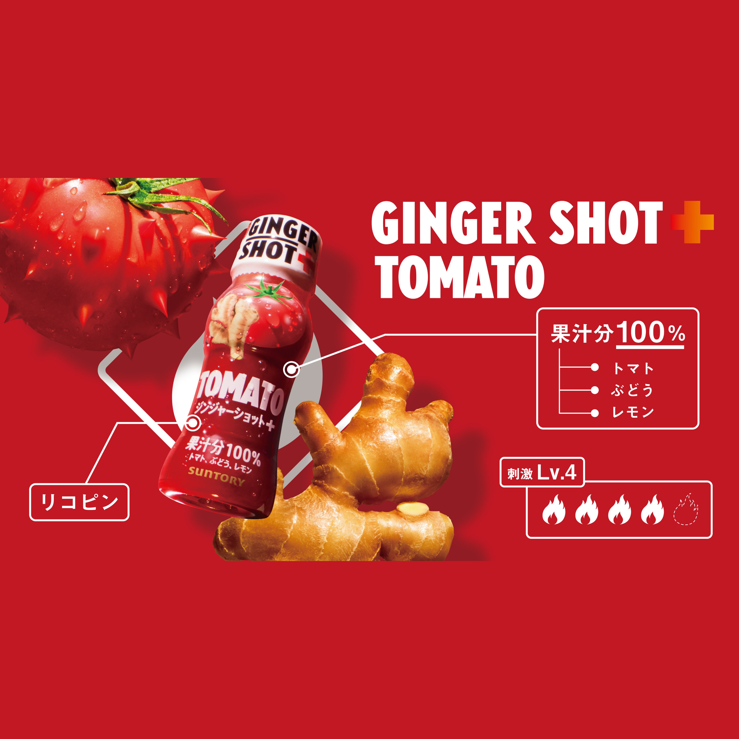 サントリー GINGERSHOT+ 4種アソート 65ml×8本