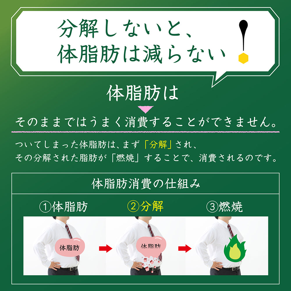 「分解しないと体脂肪は減らない！」のコピーと脂肪分解・消費の流れをイラストで説明した説明画像