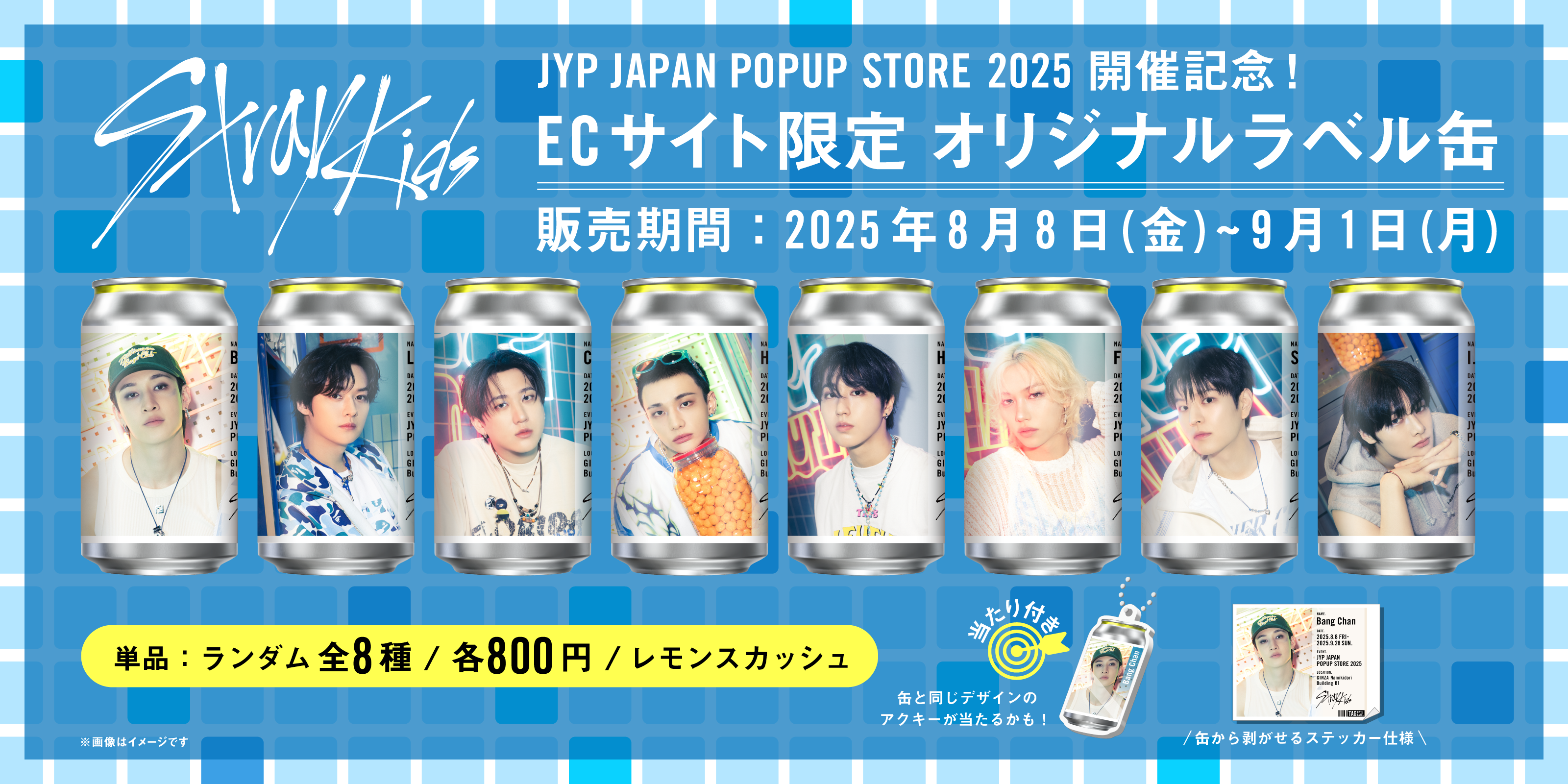 StrayKids スキズ 缶バッジ 8個全員セット タワレコ