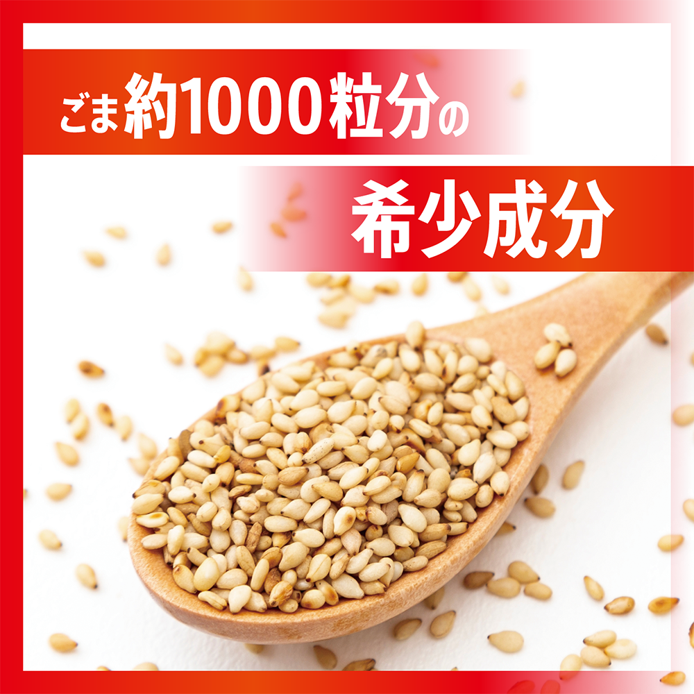 サントリー セサミン1000 500ml×24本