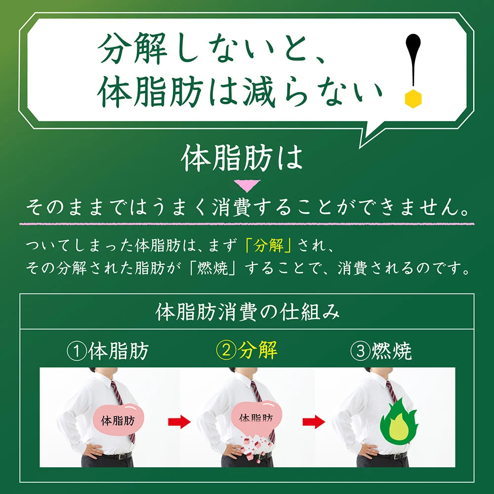 特定保健用食品 緑茶 伊右衛門 特茶 3週間継続パック 500ml×21本+お試し品3本付き