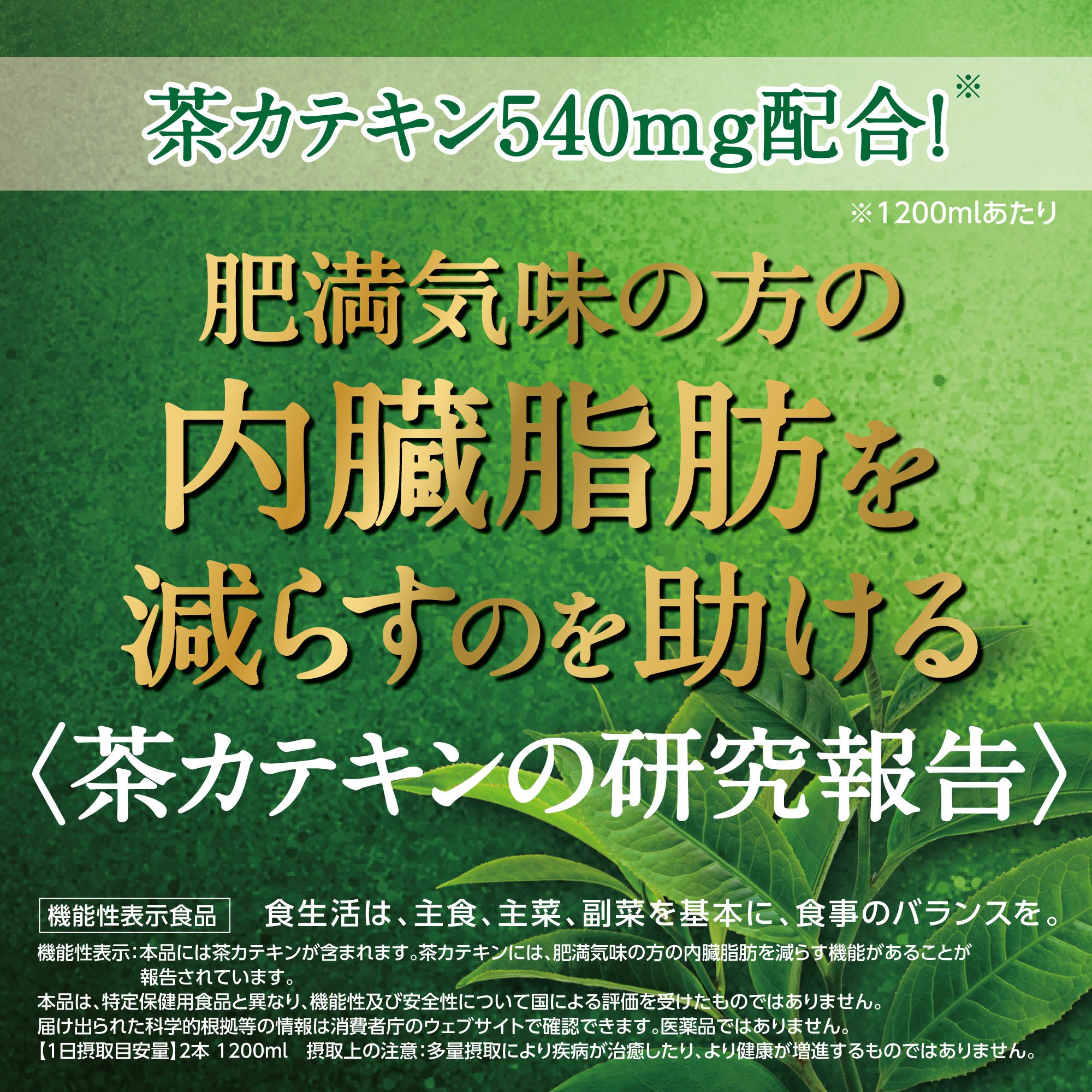 伊右衛門濃い味（機能性表示食品）600ml×24本