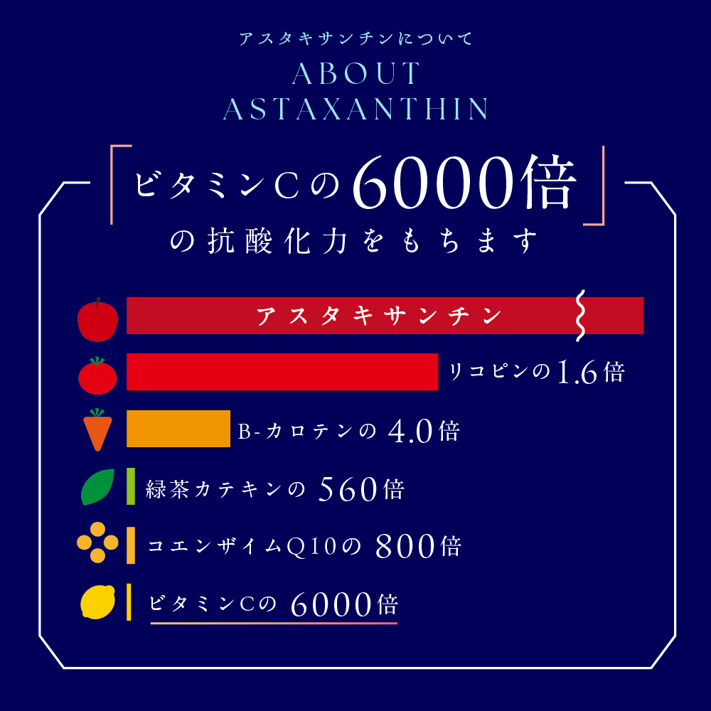 【送料当社負担】機能性表示食品 すっきりメンテナン酢 りんご 200ml紙パック×24本【定期購入】