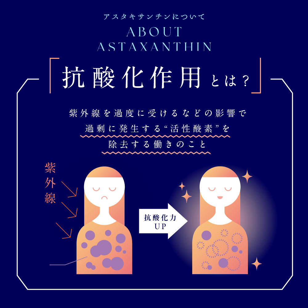 【送料当社負担】機能性表示食品 すっきりメンテナン酢 りんご 200ml紙パック×24本【定期購入】