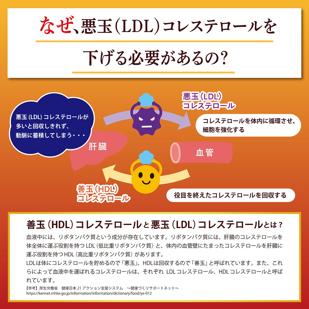 伊右衛門 コレステロール対策 500ml×24本
