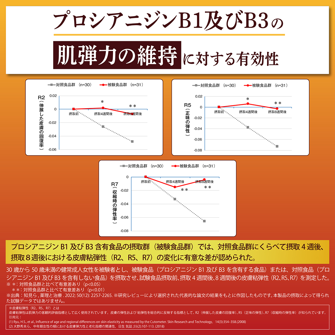 伊右衛門 コレステロール対策 500ml×24本