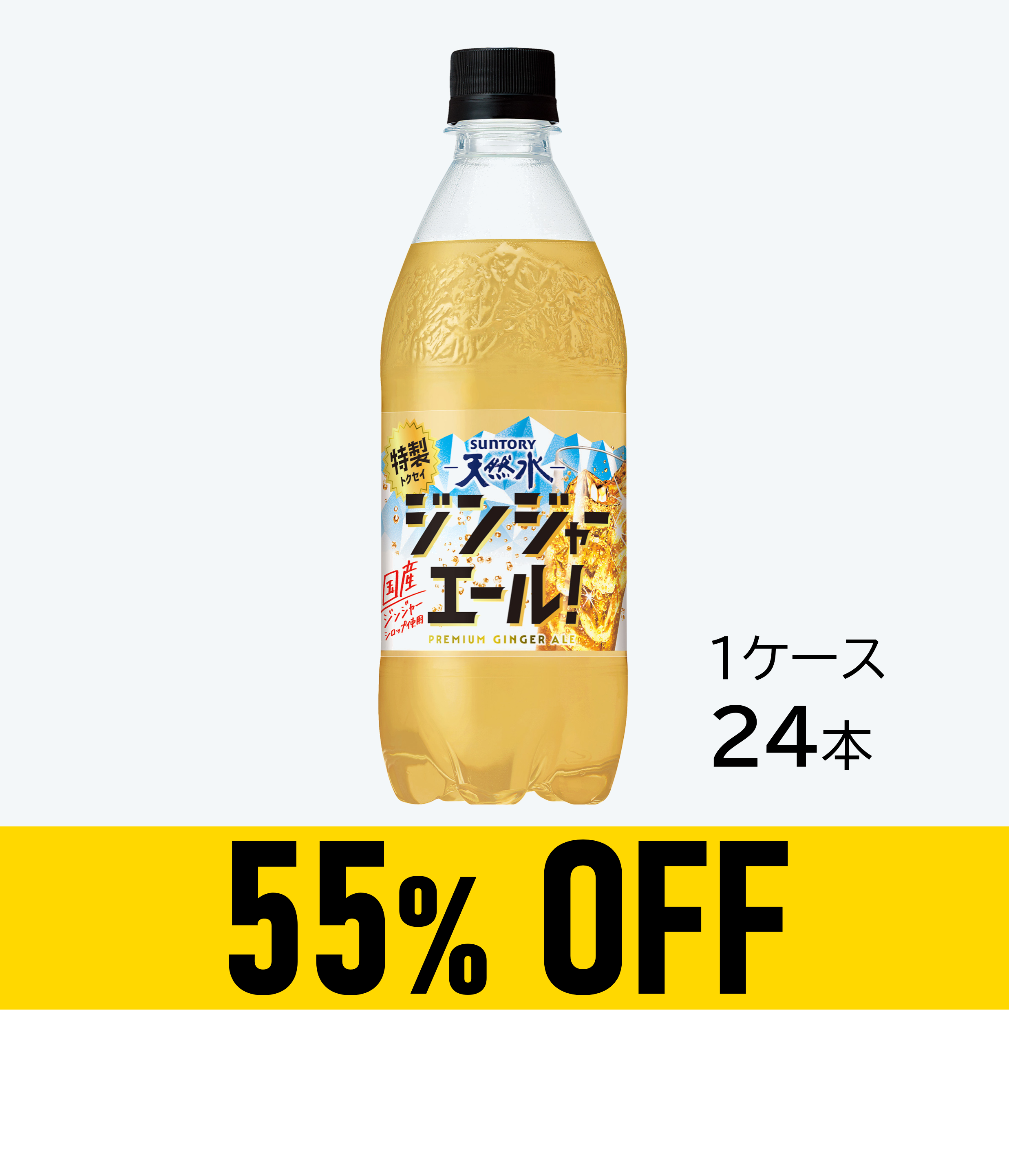 【賞味期限：26年8月11日】天然水 特製ジンジャーエール 500ml×24本